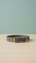 vegan leather collar with matte hardware