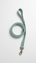 nylon leash in mint slate